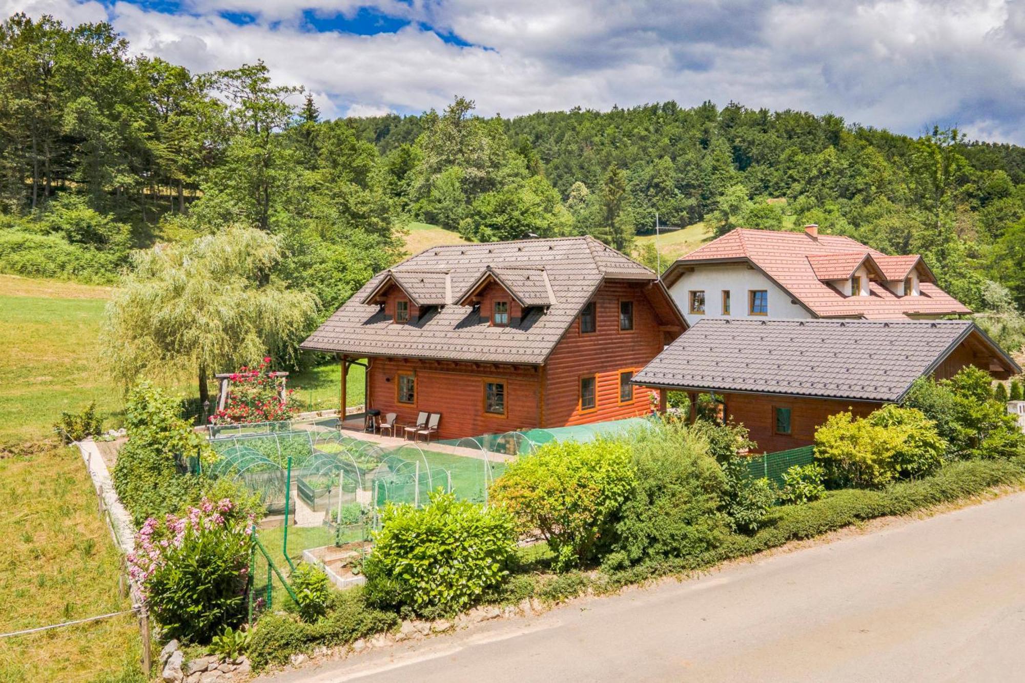 Ferienwohnung Apartma Metka Medvode Exterior foto